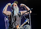 SeaSick Steve